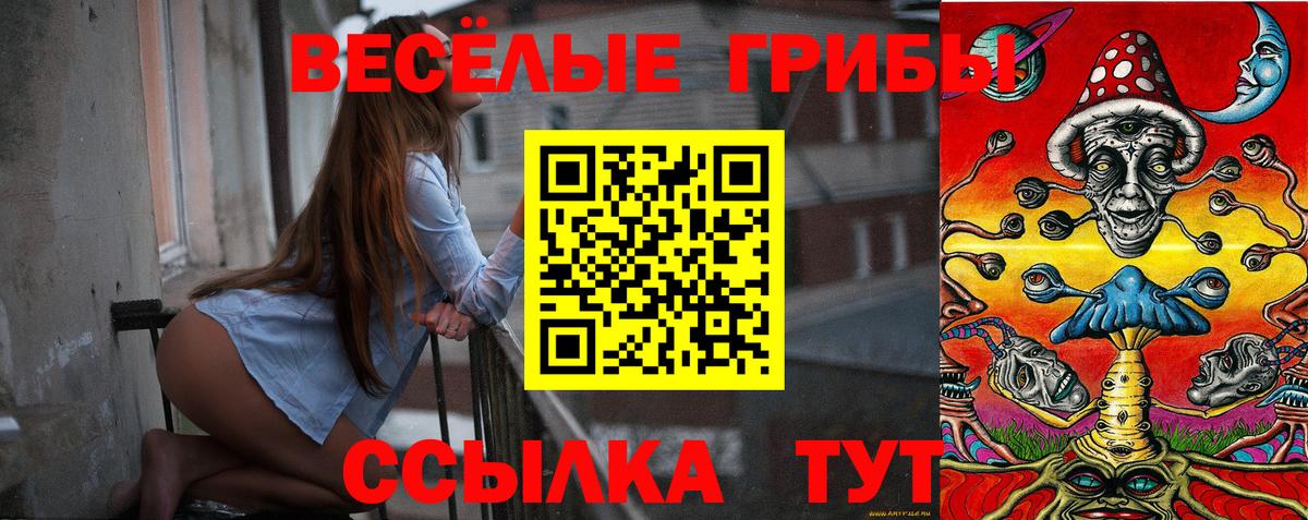 Галлюциногенные грибы GOLDEN TEACHER Орехово-Зуево