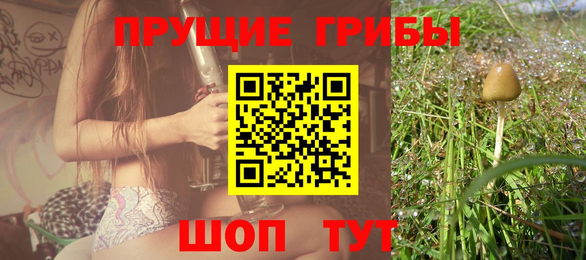 Псилоцибиновые грибы мухоморы  купить наркотики цена  Орехово-Зуево  Вход с VPN  Галлюциногенные грибы мухоморы 